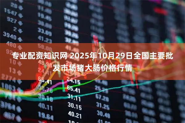 专业配资知识网 2025年10月29日全国主要批发市场猪大肠价格行情
