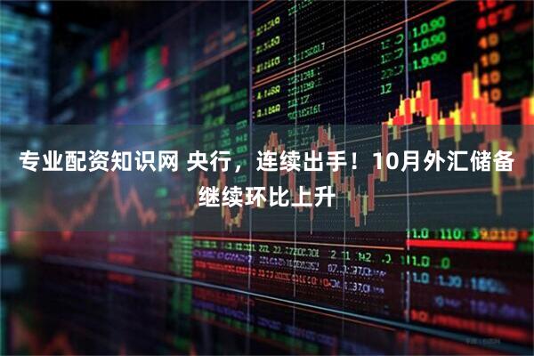 专业配资知识网 央行,连续出手!10月外汇储备继续环比上升